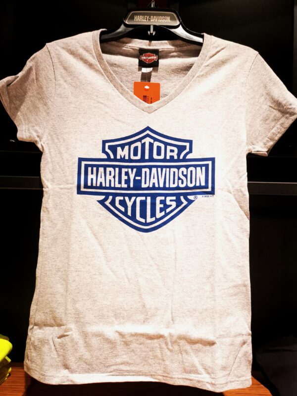 Shirt HD B&S on gray