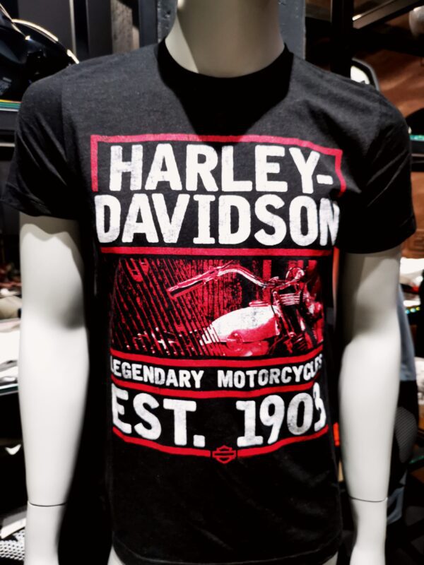 T-Shirt uomo HD valid