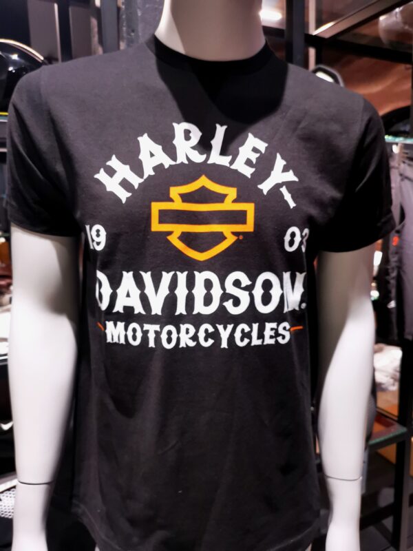 T-Shirt uomo HD rivalry